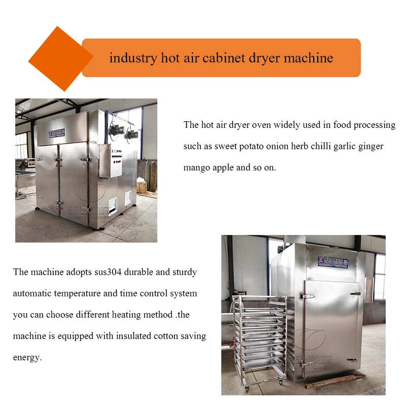 Fruit Drying Machine Air Drying System